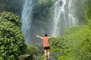 Bali: Lemukih-vannsklie, vannhopping og fossefall