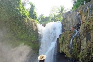 Bali: Monkey River, Tegenungan-vattenfallet och Mas Village Tour