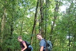 Бали: поход на гору Катур из Пелаги и завершение в Бедугуле