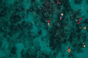 Bali/Nusa Dua: Snorkel, paseo en barco con fondo de cristal y centro de tortugas