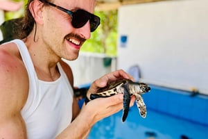 Bali: Nusa Penida: Conservación de tortugas, templo de cuevas masivas