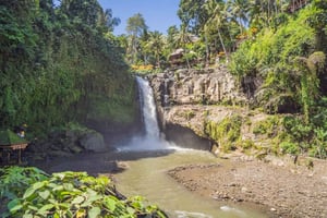 Частный автомобиль на Бали с англоговорящим водителем