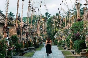 Bali: Private Day Trip to Waterfall & Traditional Village