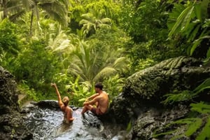 Bali: Privat dagsutflykt till vattenfall och risterrasser