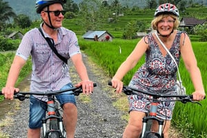 Bali: Wycieczka rowerowa do doliny Sidemen z wodospadem Gembleng