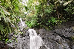 Bali: Sidemen-Wasserfall-Tour und Tempelreinigung