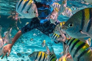 Bali: Snorkling på to steder med frokost og transport