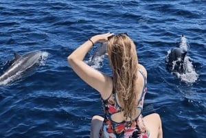 Bali: Sunrise Dolphin Snorkel, Waterfall & UNESCO Temple