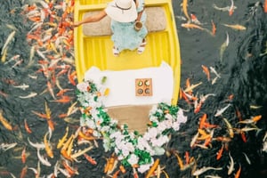 Bali: Gynge, Koi-fotobåd, abeskov og vandfald