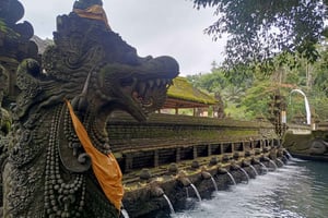 Bali: Tempels van Tampaksiring en koffieplantage