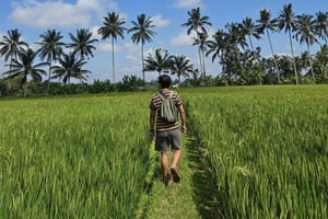 Bali: Taro Village Trek with Rice Terraces and Vegan Feast