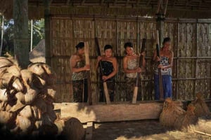 Bali : fabrication traditionnelle d'arak au musée vivant