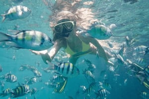 Bali Tulamben: Liberty Shipwreck Snorkeling & Kayak Day Trip