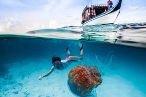 Bali: Ubud ATV und Blaue Lagune Schnorcheltour mit Mittagessen