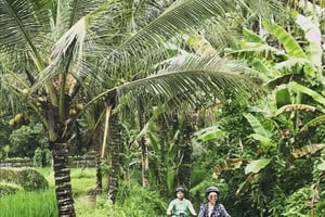 Bali: Ubud Electric Fat goBike Tour with Lunch & Pickup