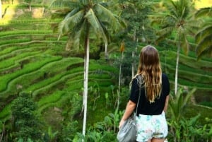 Bali - en dagstur Dagsutflykt med risterrasser, tempel och vulkan i Ubud