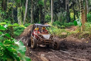 Bali: Ubud UTV-Buggy-Abenteuer mit Essen