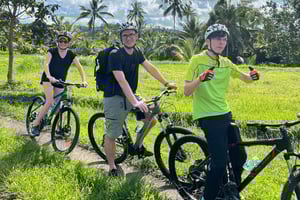 Bali : visite du village d'Ubud à vélo avec déjeuner et baignade