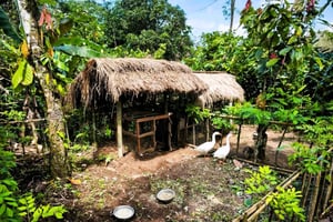 Bali : coucher de soleil, jamu, douceurs locales et dîner