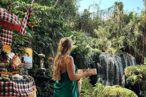 Bali: waterval, koffieplantage en rijstterrassentour