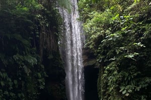 Balin vesiputousretki: Goa Raja, Tukad Cepung ja Tibumana