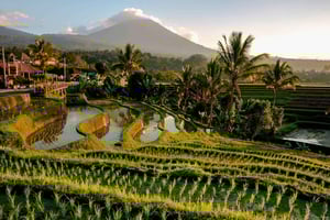 Custom Private Ubud Tour with Flexible Options & Tickets