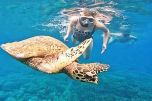 限定5つの秘境ギリ島：シュノーケリング＆島巡り