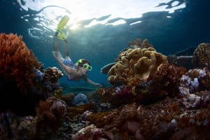 Z 3 miejsca do nurkowania na Lembongan i Penidzie