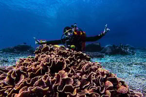 Från Bali: Dykning för nybörjare till Nusa Penida och Lembongan