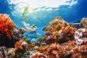 Desde Bali: Medio Día de Snorkel en 3 Puntos a Lembongan y Penida