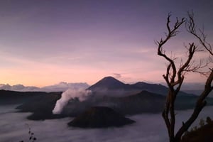 バリ島発：ブロモ山とイジェン山オープントリップ（3日2泊）