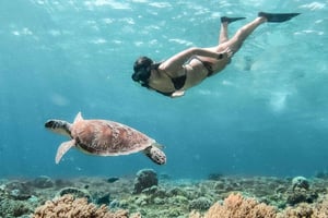 Desde Bali Snorkel Privado en las Islas Gili Todo Incluido