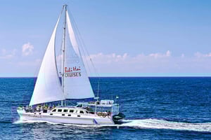 バリ島発：セイル、シュノーケル、マングローブツアーでヌサレンボンガンへ