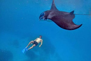 Сноркелинг на Нуса-Пениде: 3 места, GoPro и западное побережье