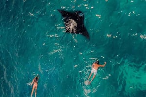 From Bali: Nusa Penida 3 Spots Snorkeling Tour & West Island