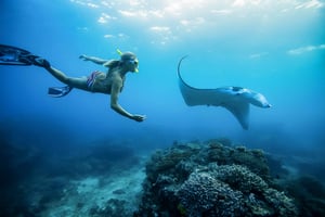 From Bali: Swim with Manta Rays in Nusa Penida
