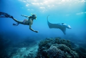 From Bali: Swim with Manta Rays in Nusa Penida