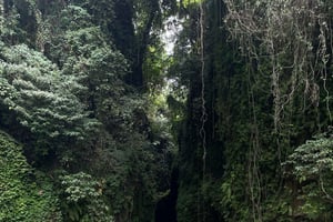 From North Bali: Aling Aling Waterfall and Blue Lagoon Tour