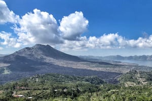 Desde Ubud: descenso en bicicleta con terrazas de arroz y comida