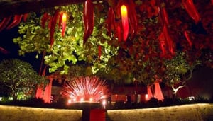 Heliconia Floral Art