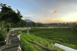 Jatiluwih: wycieczka 1-dniowa – natura i wellness