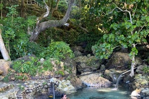 Kelingking Beach and Tembeling Beach hidden gem, Tour