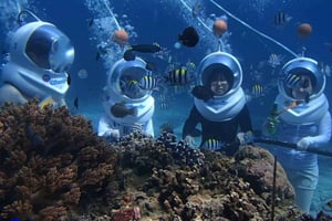 Kuta : expérience Sea Walker et statue de Garuda Wisnu Kencana