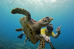 Lembongan: Snorkling i Manta Bay, Turtle Bay och Gamat Bay
