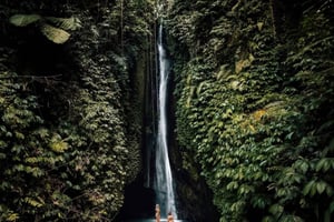 バリ島北部：モンキーフォレスト - 滝 - 棚田 - ウルン・ダヌ