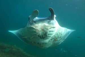 Nusa Penida All-Inclusive West Trip mit 3 Schnorchelplätzen