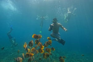 Nusa Penida: Aamun snorklaus ja saarikierros