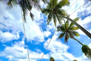 Nusa Penida: East Island Private Tour with Tree House