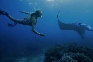 Nusa Penida: Full Day Private Snorkeling With Manta Ray