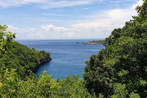 Nusa Penida: privé-tour naar verborgen stranden met lunch